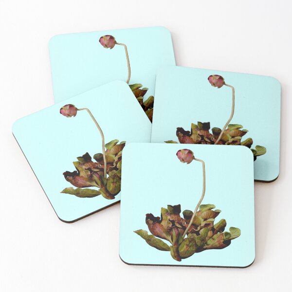 Item preview, Pitcher Plant Blue Background. designed and sold by Anthony Seeker.