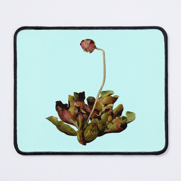 Item preview, Pitcher Plant Blue Background. designed and sold by Anthony Seeker.