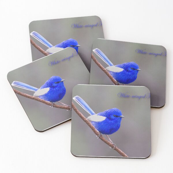 Item preview, White-winged Fairy-wren of Australia designed and sold by Seesee.