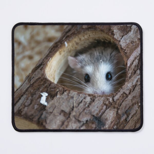 Item preview, Roborovski Hamster designed and sold by Anyarnia.
