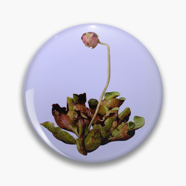 Item preview, Pitcher Plant Purple Background. designed and sold by Anthony Seeker.