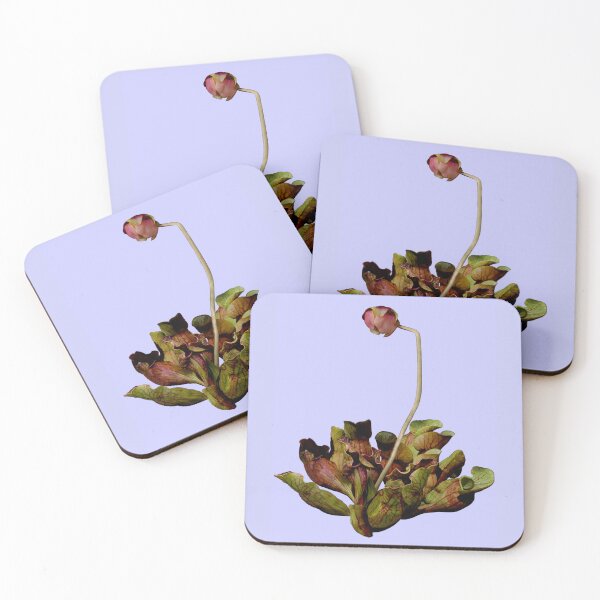 Item preview, Pitcher Plant Purple Background. designed and sold by Anthony Seeker.