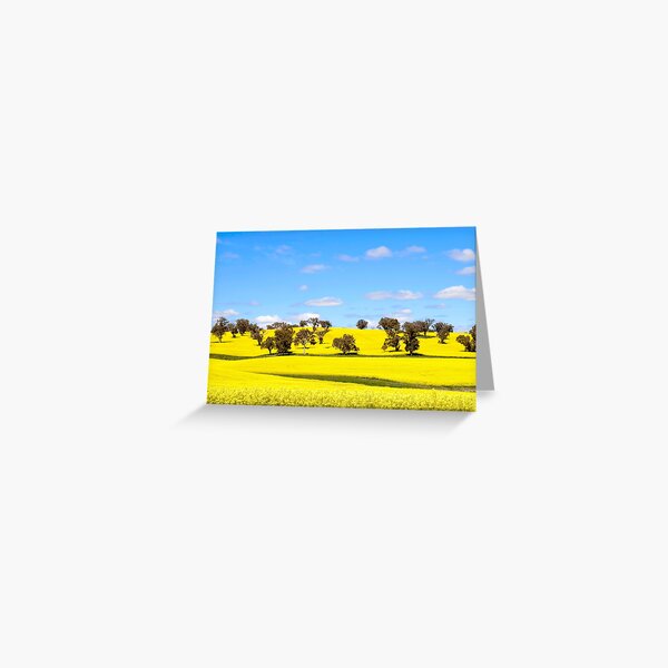 Canola Fields of New South Wales Greeting Card