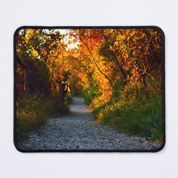 Item preview, Autumn walking path in forest designed and sold by Anyarnia.