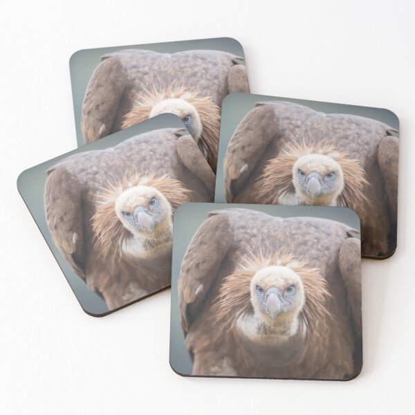 Item preview, Griffon Vulture #2 designed and sold by Dominika Aniola.