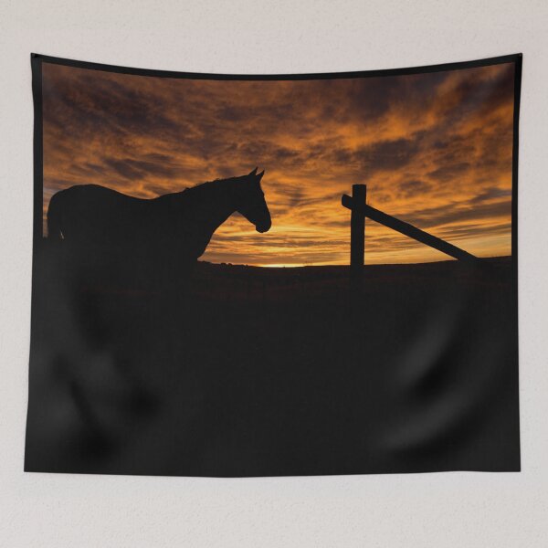 Item preview, Sunrise horse silhouette designed and sold by Sarah Matula Photography.