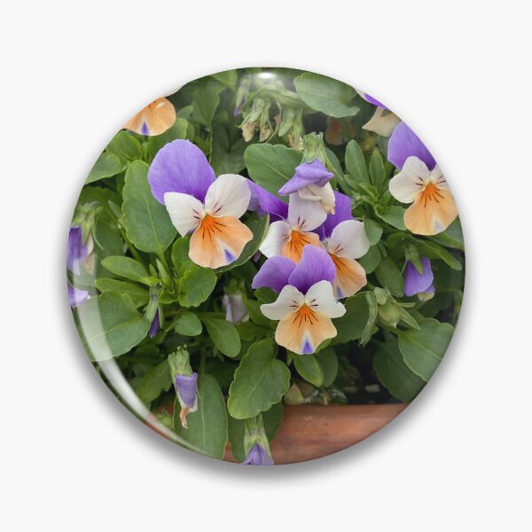 Item preview, Violas with orange and purple petals designed and sold by Ponted.