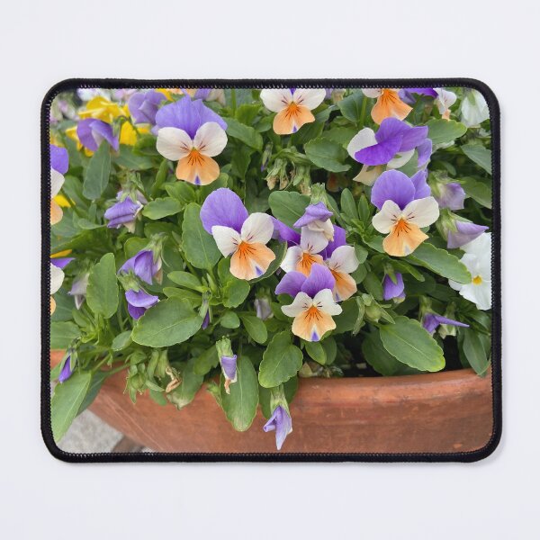 Item preview, Violas with orange and purple petals designed and sold by Ponted.