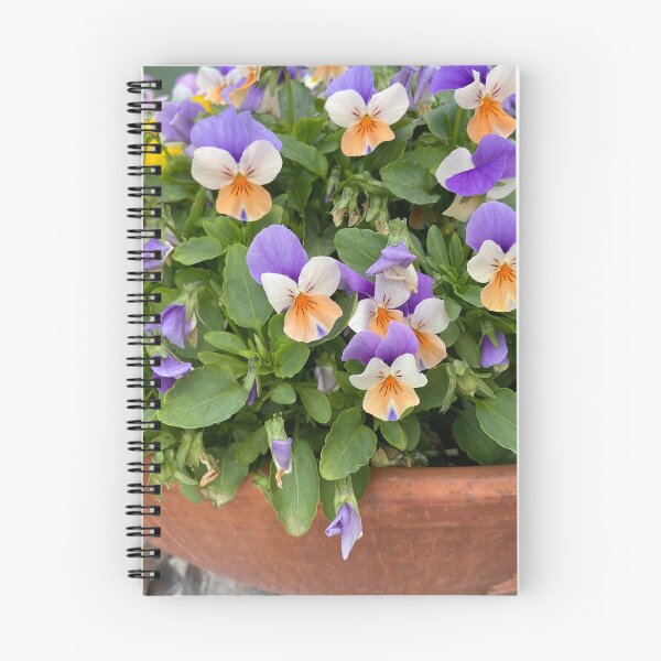 Item preview, Violas with orange and purple petals designed and sold by Ponted.