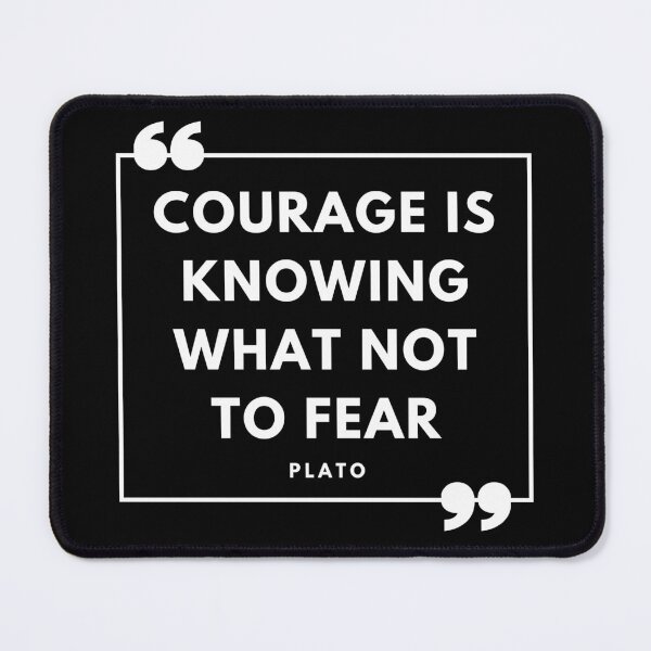 Item preview, Plato Quote designed and sold by The-Quote-House.