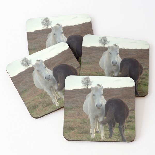 Item preview, Dartmoor Ponies in Norfolk designed and sold by Billlee.