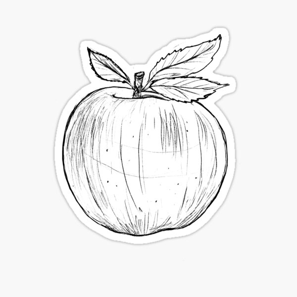 Apfel Skizze Sticker