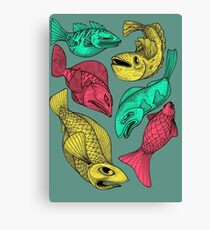 Color Fish Canvas Print