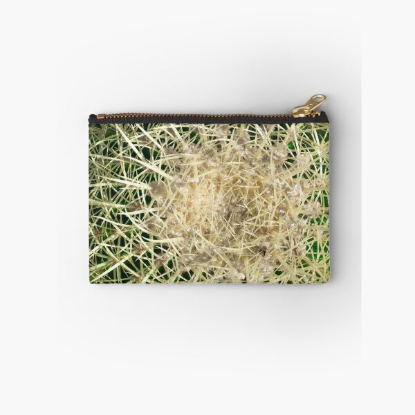 Item preview, Closeup of golden barrel, globe shaped cactus with sharp spines designed and sold by Anyarnia.