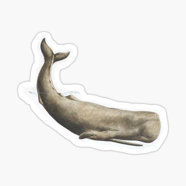 Item preview, Sperm Whale designed and sold by ThiccAndSik.