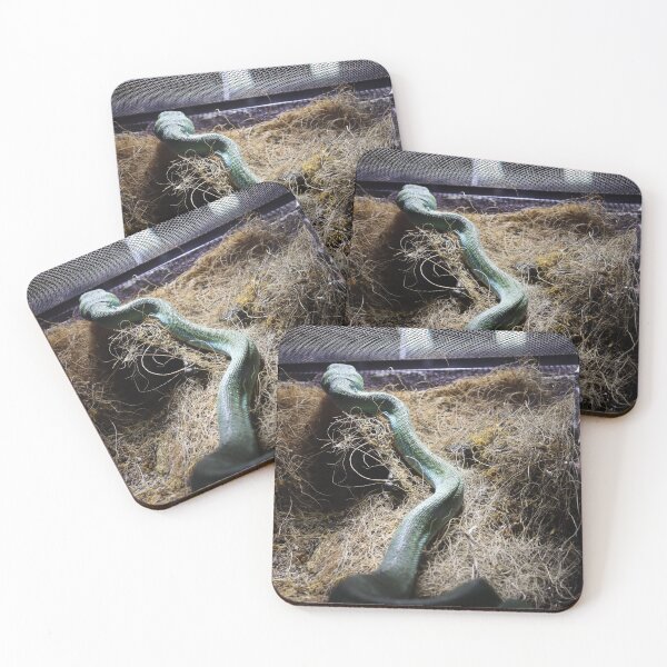 Item preview, scales designed and sold by stuffolies.