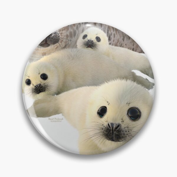 Item preview, Grey seals arctic designed and sold by DavidPenfound.