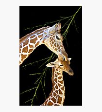 Tenderness Photographic Print