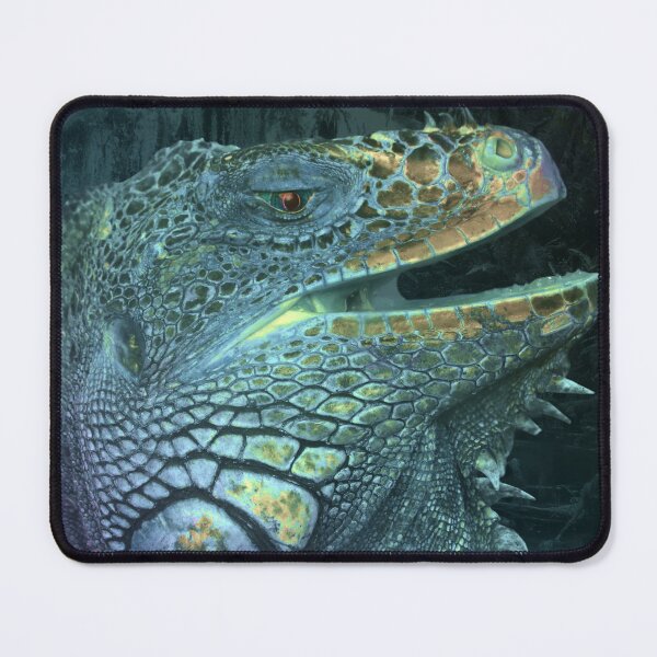 Item preview, Colourful Iguana designed and sold by Joker-laugh.