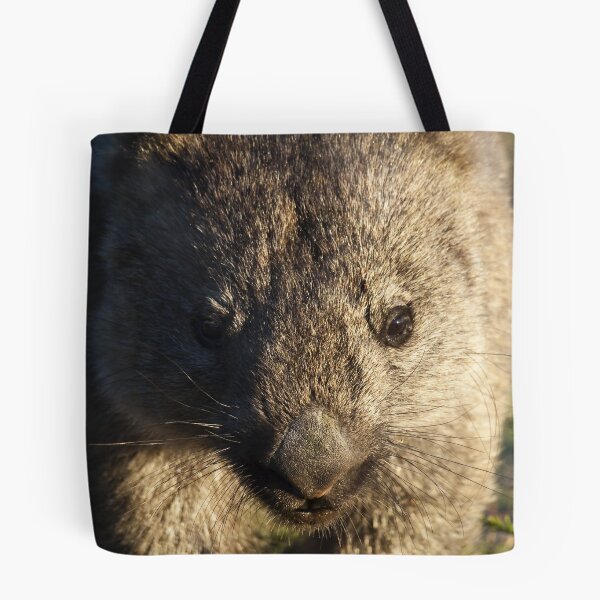 Artikelvorschau, Wombat, aus der Nähe entworfen und verkauft von col hellmuth.