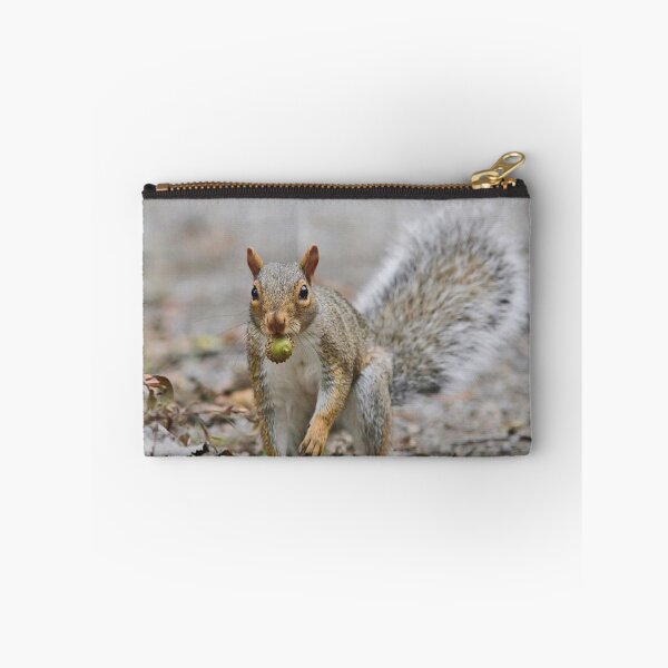Item preview, Need to hide my acorn - Gray Squirrel designed and sold by Linda Crockett.