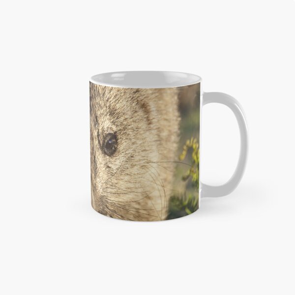Item preview, wombat, up close designed and sold by col hellmuth.