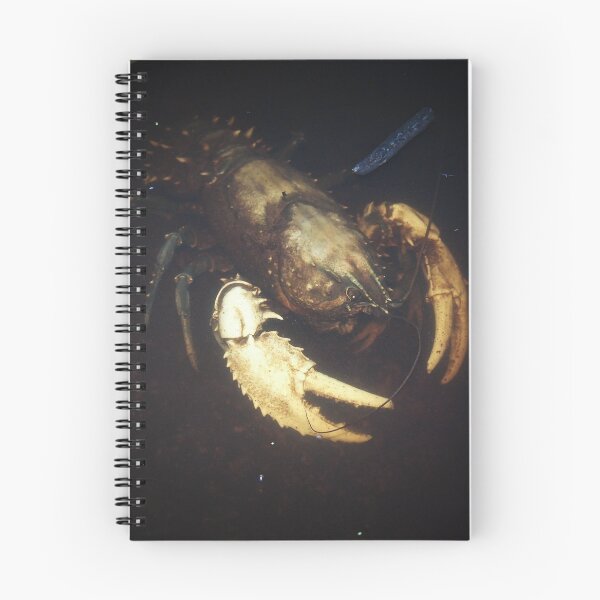 Item preview, murray cray designed and sold by col hellmuth.