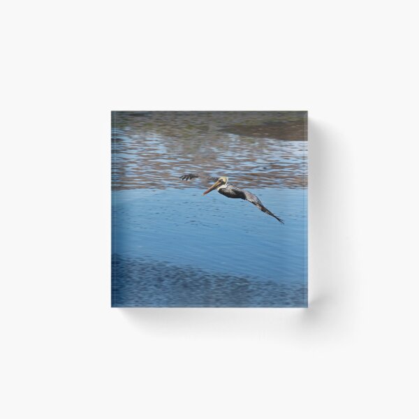 Item preview, The Opportunist designed and sold by Michiale.