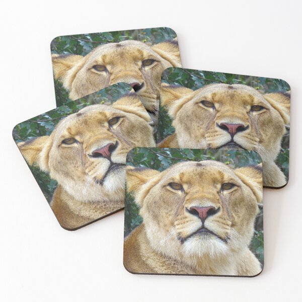 Item preview, Lion Lioness Close Up designed and sold by PrintPortal.