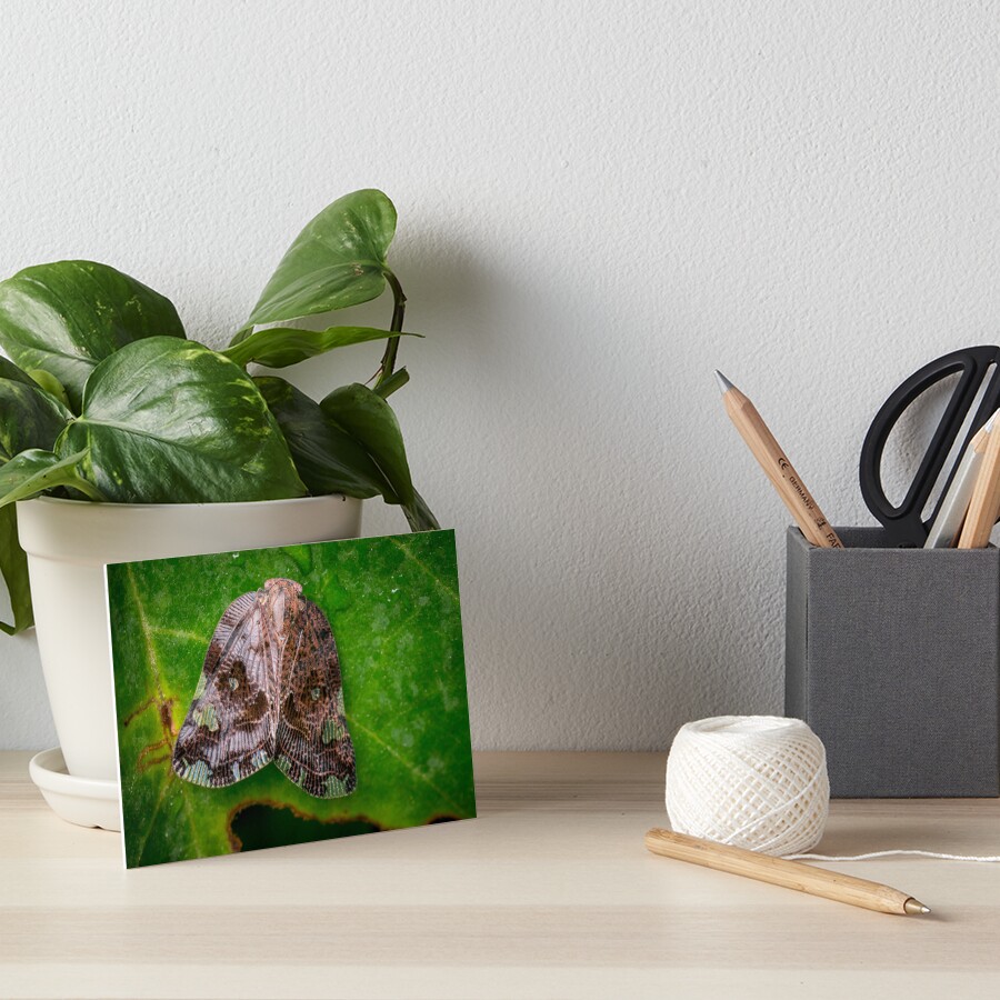 Item preview, Art Board Print designed and sold by AvonPerception.