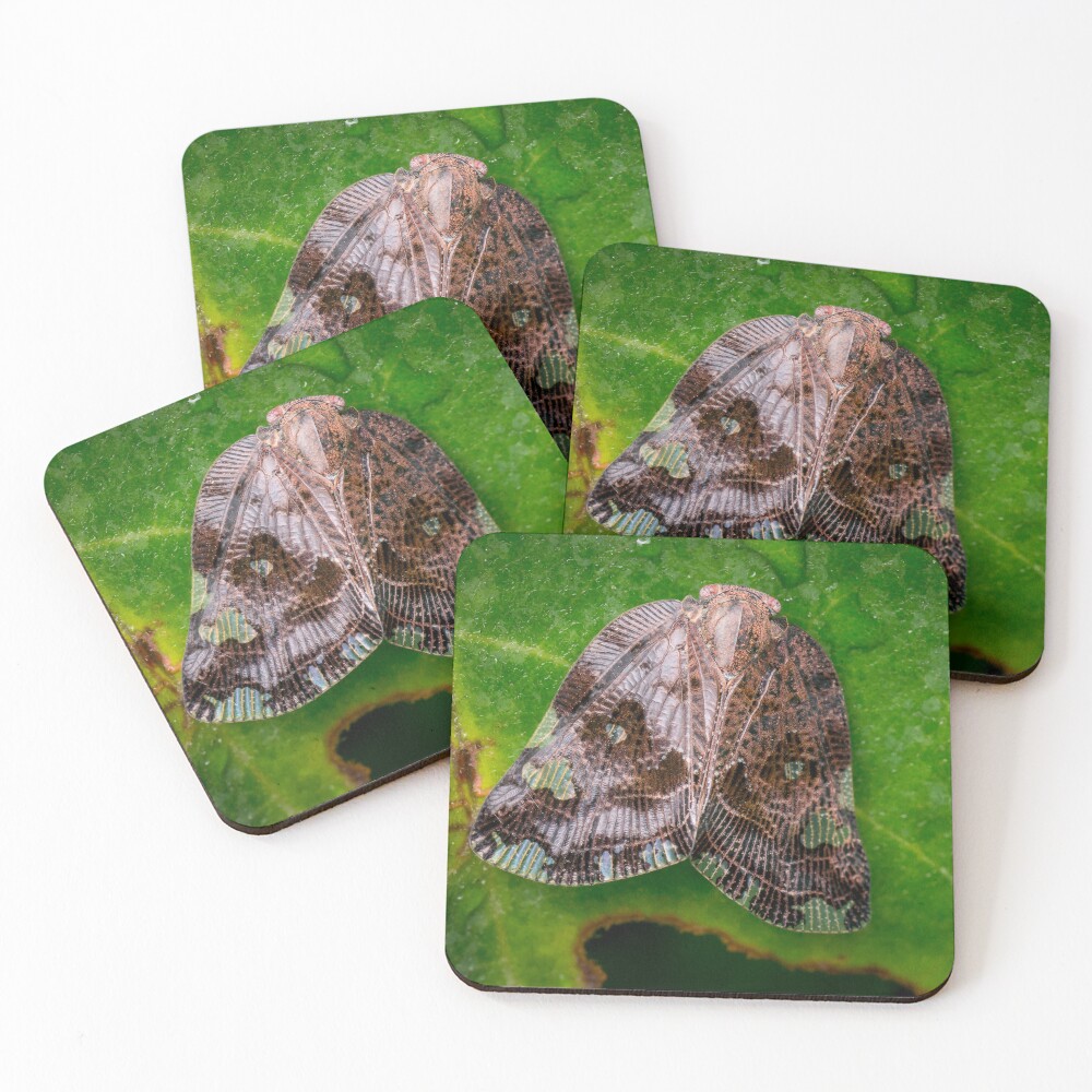 Item preview, Coasters (Set of 4) designed and sold by AvonPerception.