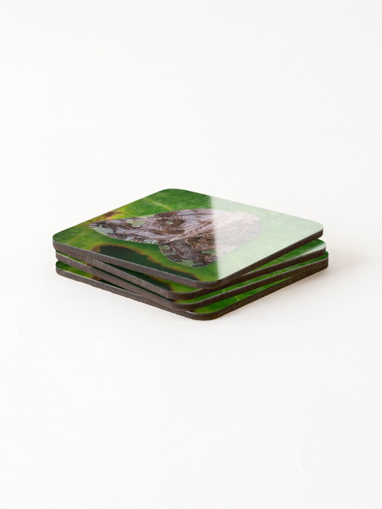 Thumbnail 4 of 5, Coasters (Set of 4), A Ricaniid Planthopper (Ricania Marginalis) designed and sold by AvonPerception.