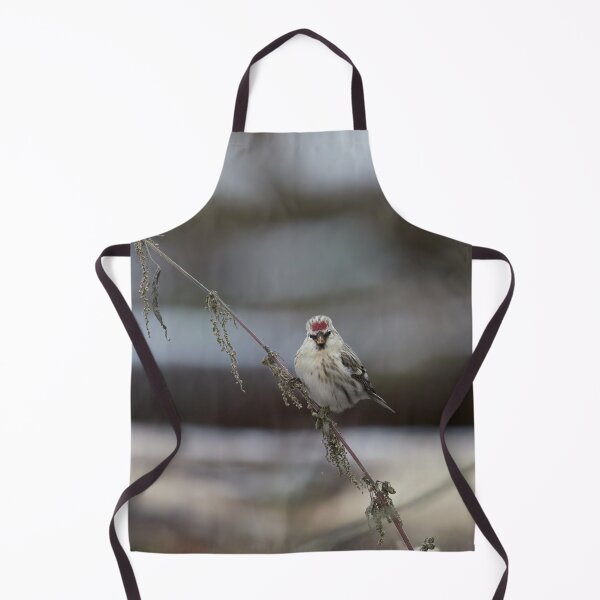 Item preview, To be or not to be. Arctic redpoll designed and sold by Jouko Lehto Photography.