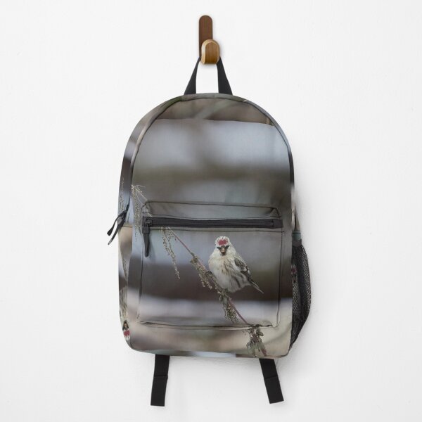Item preview, To be or not to be. Arctic redpoll designed and sold by Jouko Lehto Photography.