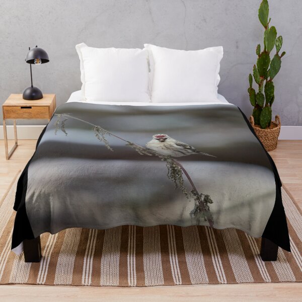 Item preview, To be or not to be. Arctic redpoll designed and sold by Jouko Lehto Photography.