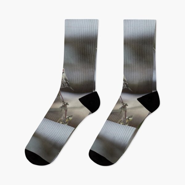 Item preview, To be or not to be. Arctic redpoll designed and sold by Jouko Lehto Photography.