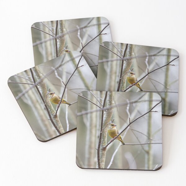Item preview, Pastel colors. European greenfinch designed and sold by Jouko Lehto Photography.