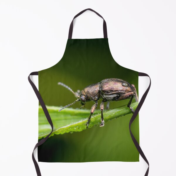 Item preview, A metallic leaf beetle (Nodina sp) on a leaf with morning dew designed and sold by AvonPerception.