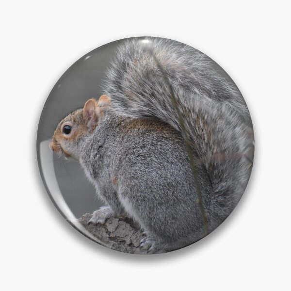 Item preview, Grey Squirrel  designed and sold by SaraTomlinson55.