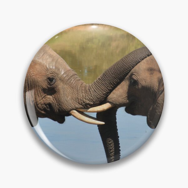 Item preview, Elephants kissing with trunks in Africa designed and sold by PrintPortal.