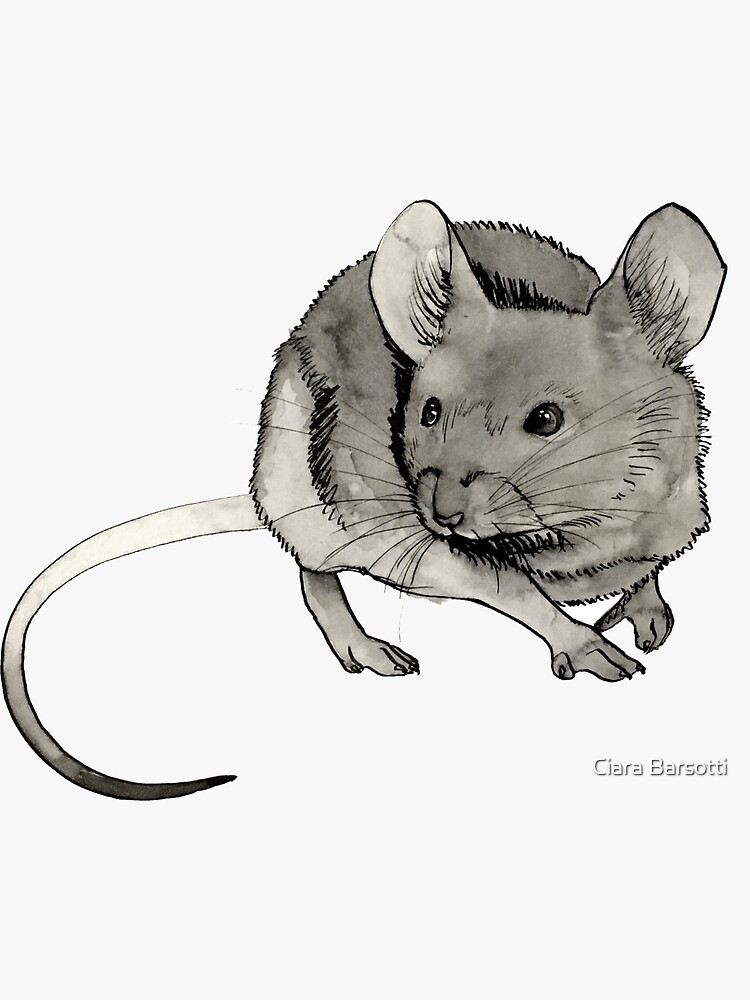 "House Mouse Squeak" Sticker for Sale by Ciarabarsotti Redbubble