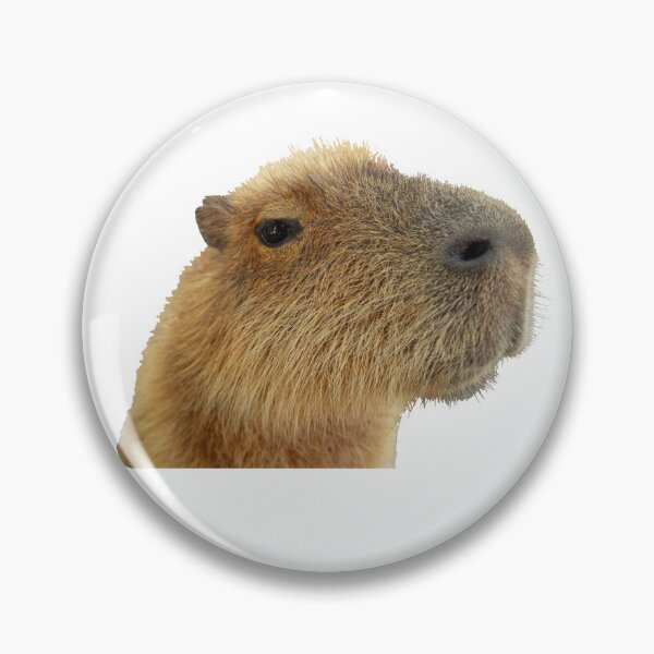 Item preview, ok  i pull up Capybara  classic designed and sold by ArtByMigdad.