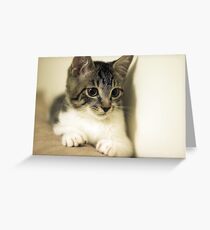 Tommy 4 Greeting Card