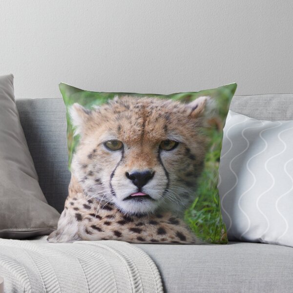 Item preview, Cheetah Cub with Tongue Out designed and sold by PrintPortal.