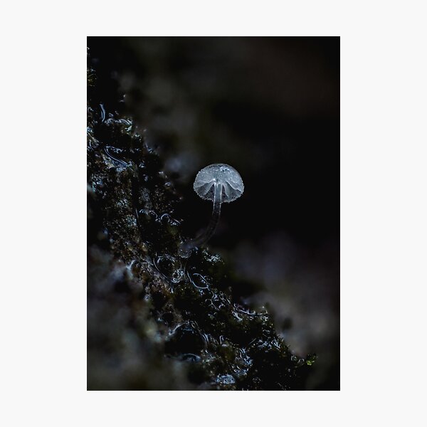 Item preview, Tiny Mushroom designed and sold by Ryan Dale.