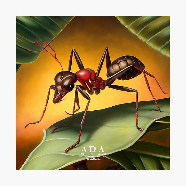 Tropical Ant - Oil Painting Photographic Print