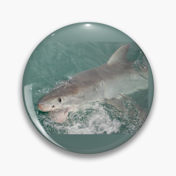 Item preview, Great white shark designed and sold by David JC.