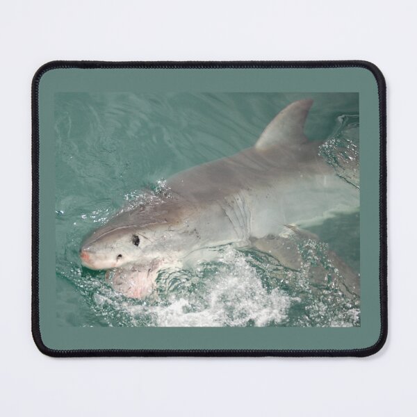 Item preview, Great white shark designed and sold by David JC.