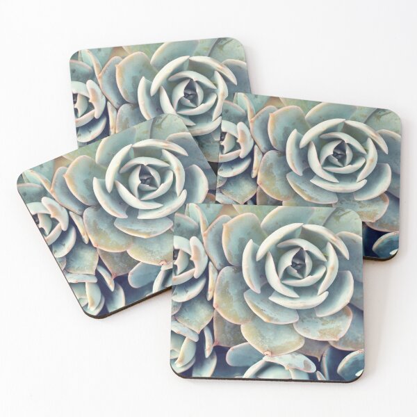 Item preview, Succulent Garden Photography designed and sold by aprilbernphoto.