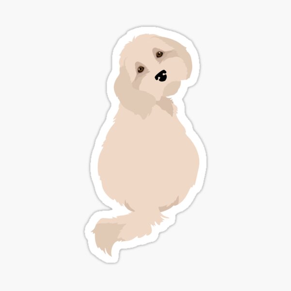 "Digital illustration Cavapoo dog portrait" Sticker for Sale by ...